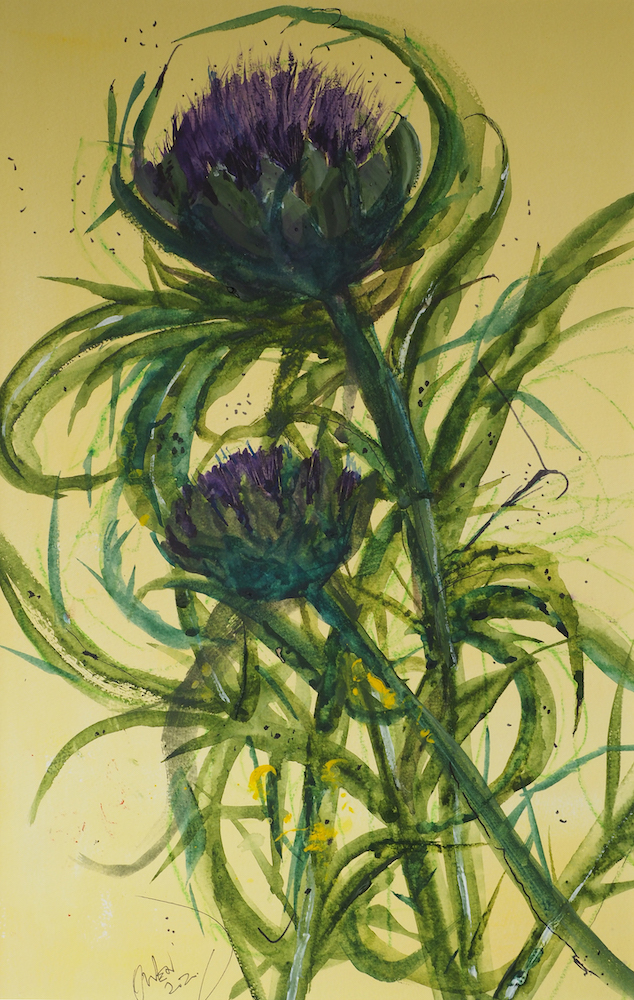 Artichokes